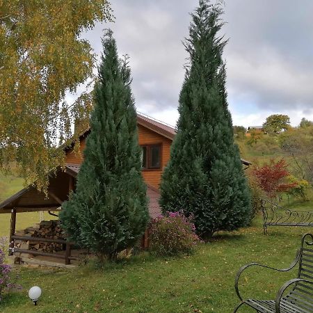 Casa Zara Villa Bran  Eksteriør billede