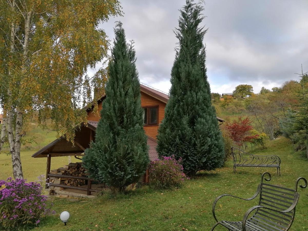Casa Zara Villa Bran  Eksteriør billede