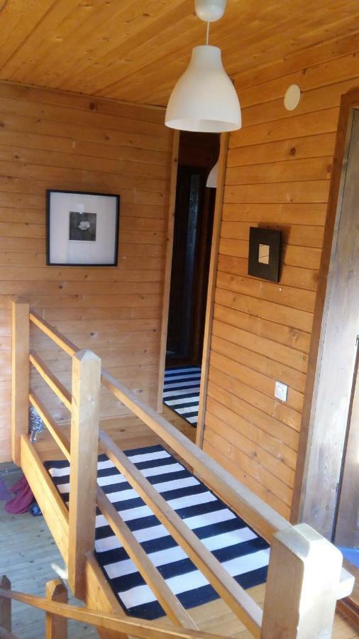 Casa Zara Villa Bran  Eksteriør billede