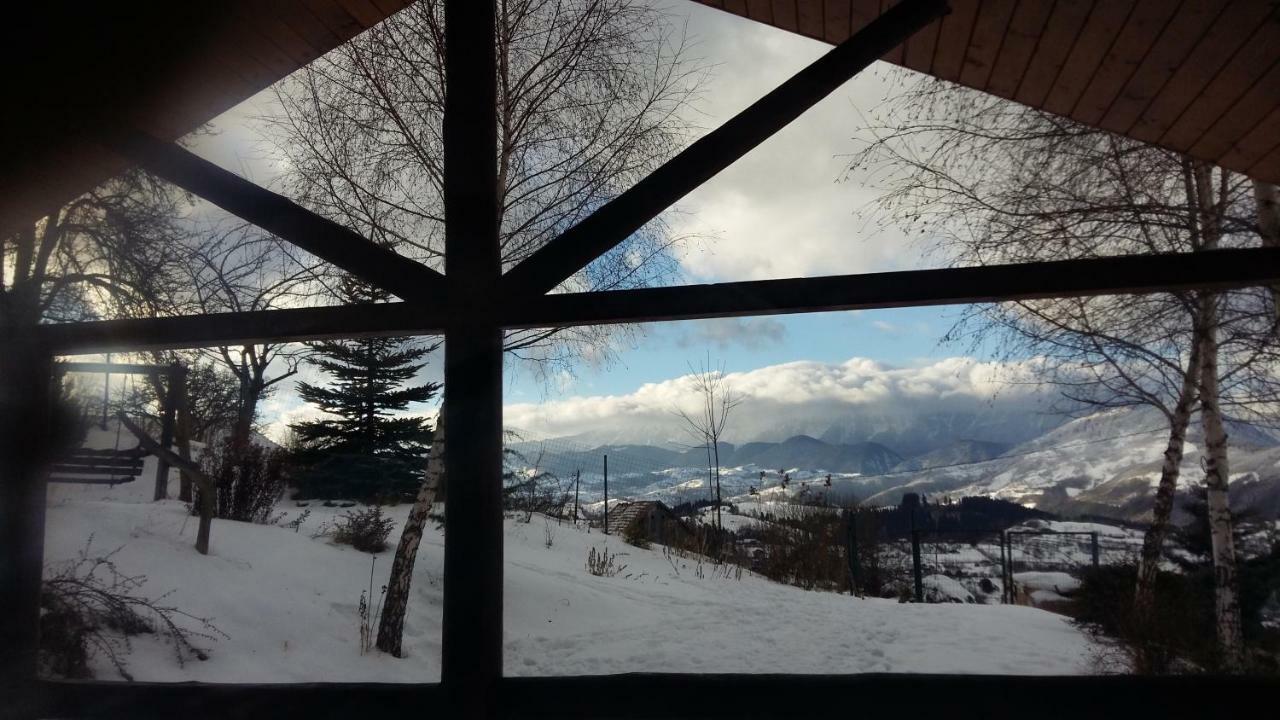 Casa Zara Villa Bran  Eksteriør billede