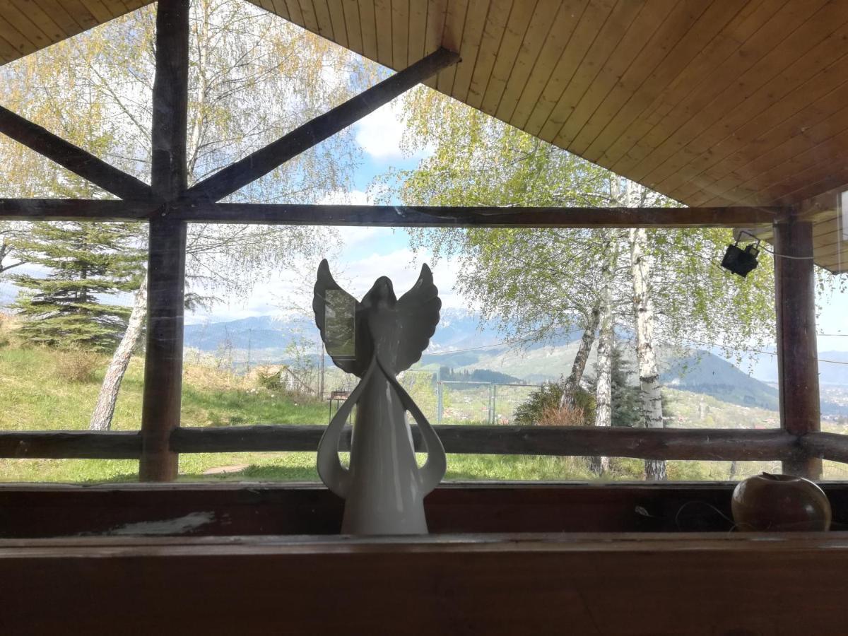 Casa Zara Villa Bran  Eksteriør billede